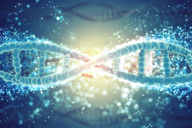Genetics Genetics