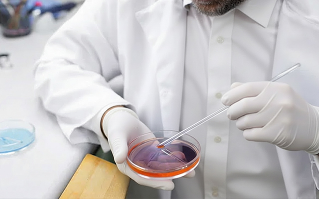 what a cancer doctor does